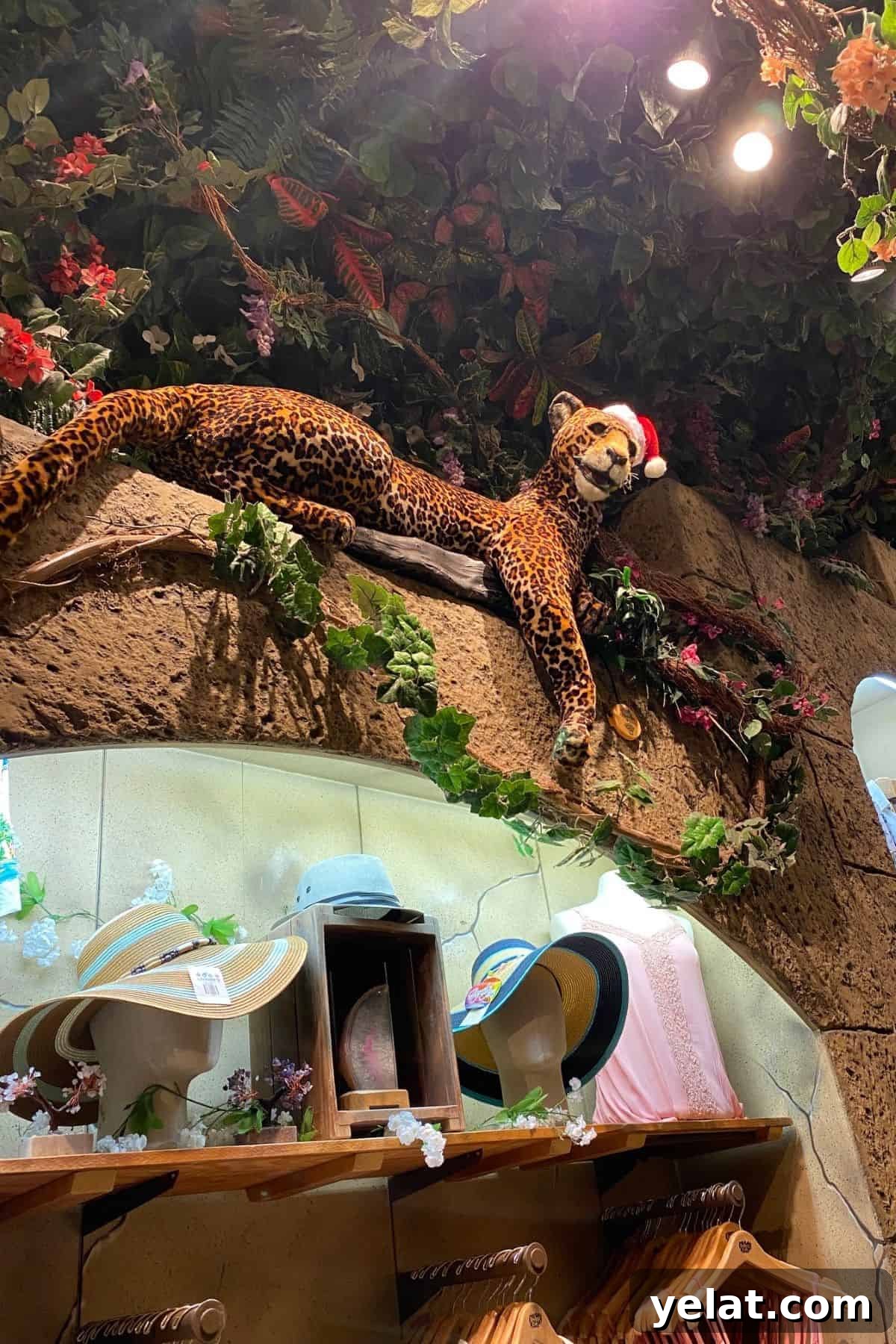 Rainforest Cafe Breakfast Review at Disney's Animal Kingdom 6 rainforest cafe cheetah animatronic
