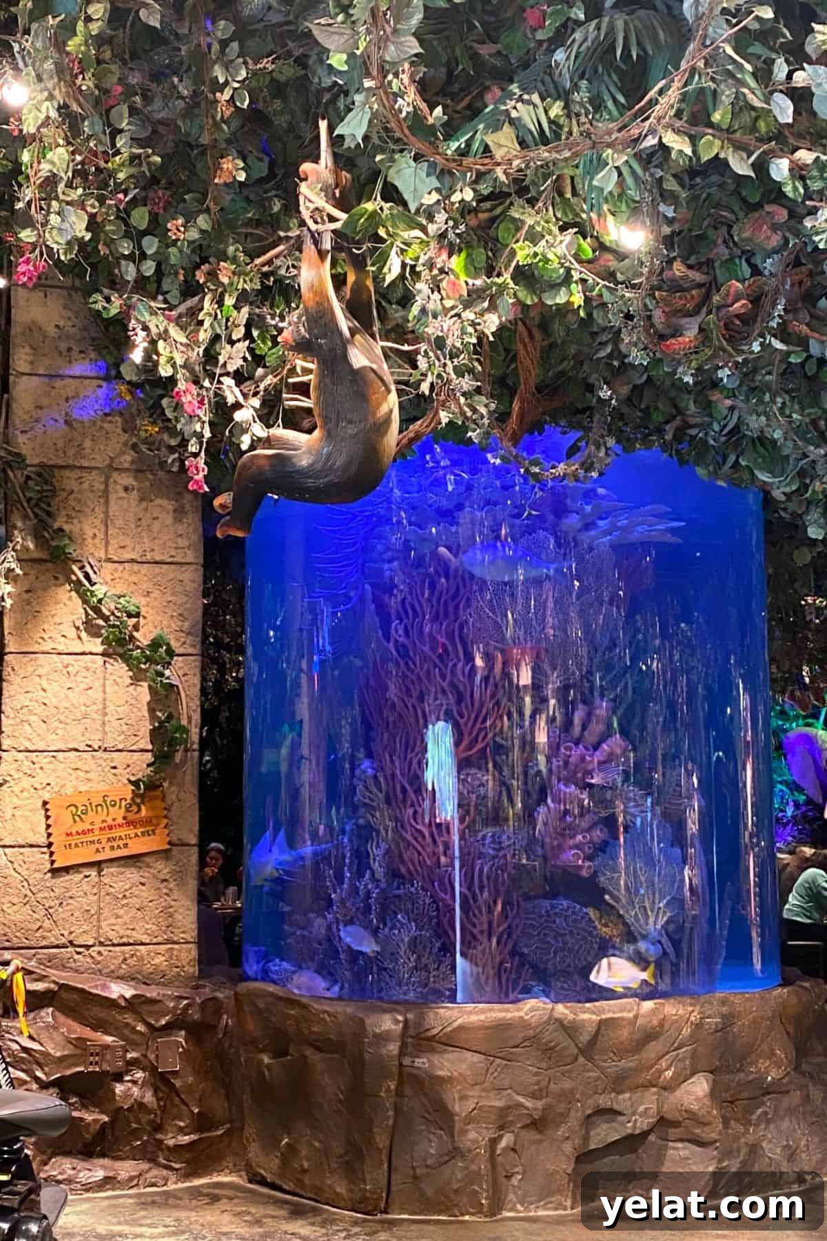 Rainforest Cafe Breakfast Review at Disney's Animal Kingdom 7 rainforest cafe interior aquarium