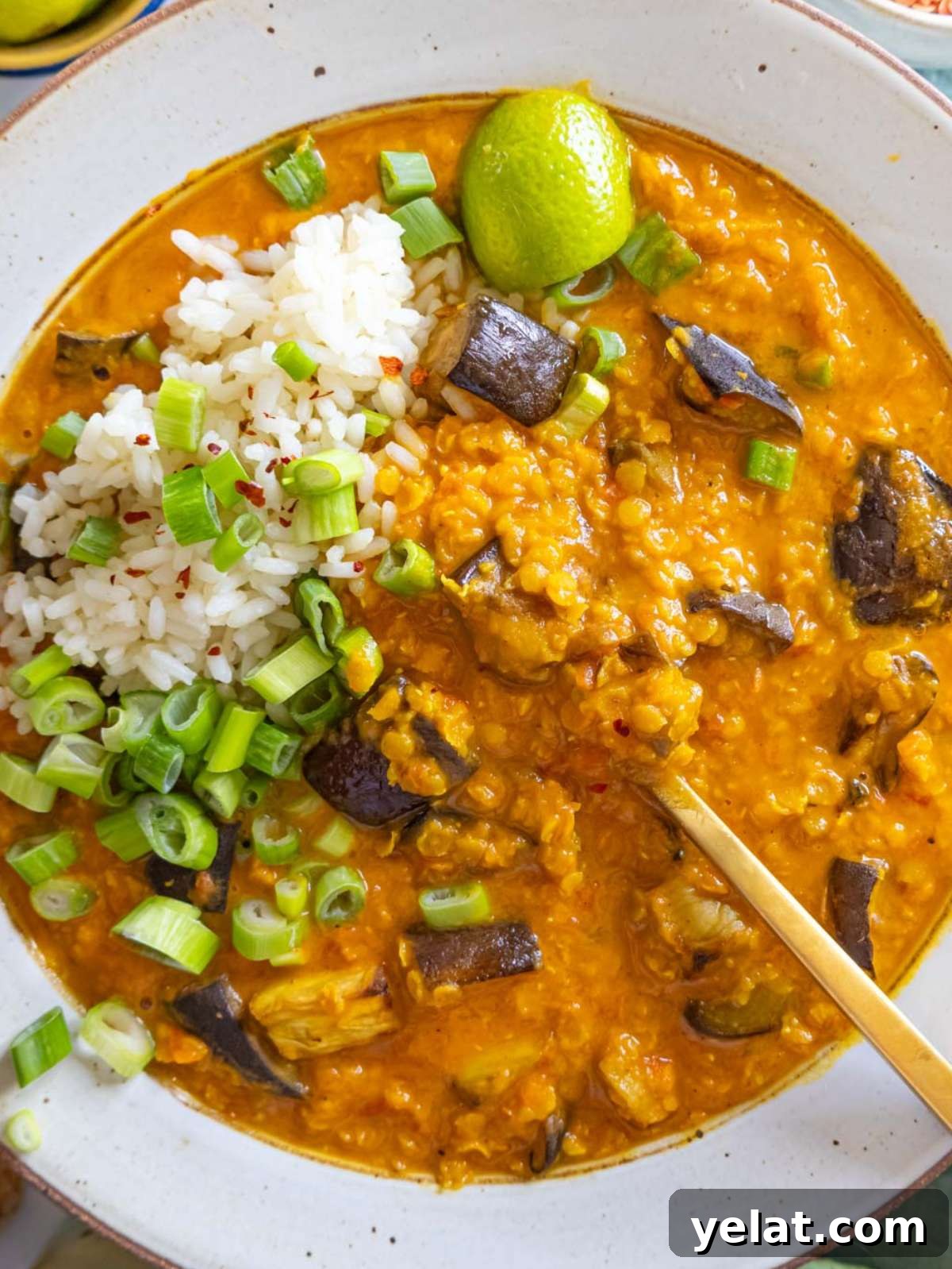 High-Protein Lentil and Eggplant Curry Recipe 2 Top down view of hearty one pot lentil and eggplant curry served with rice and lime.