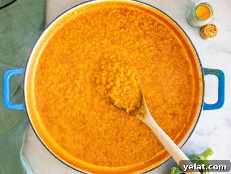 High-Protein Lentil and Eggplant Curry Recipe 13 Step 3 Red lentils simmering with vegetable broth and tomatoes creating a creamy curry base.