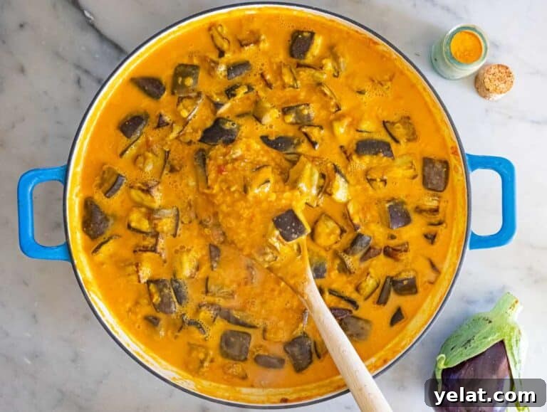 High-Protein Lentil and Eggplant Curry Recipe 14 Step 4 Roasted eggplant and coconut milk stirred into the pot to make curry creamy.