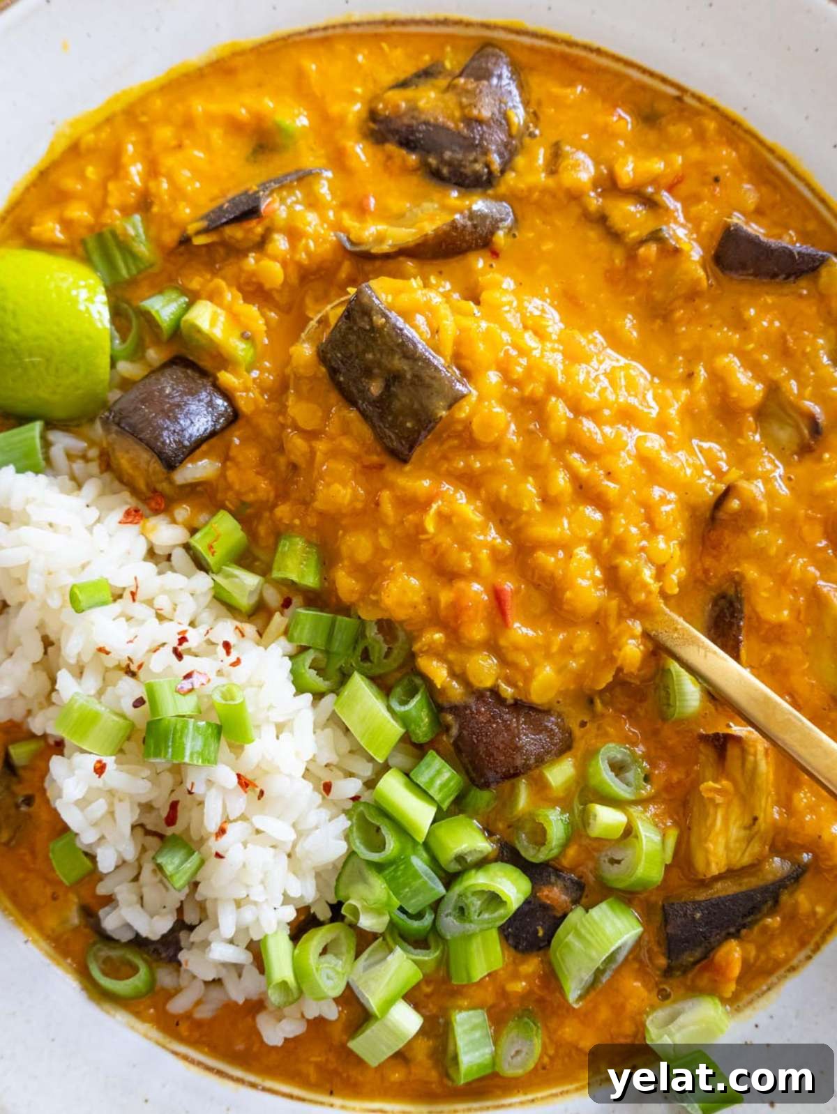 High-Protein Lentil and Eggplant Curry Recipe 3 Close up creamy lentil and eggplant curry in a bowl with rice and garnish.