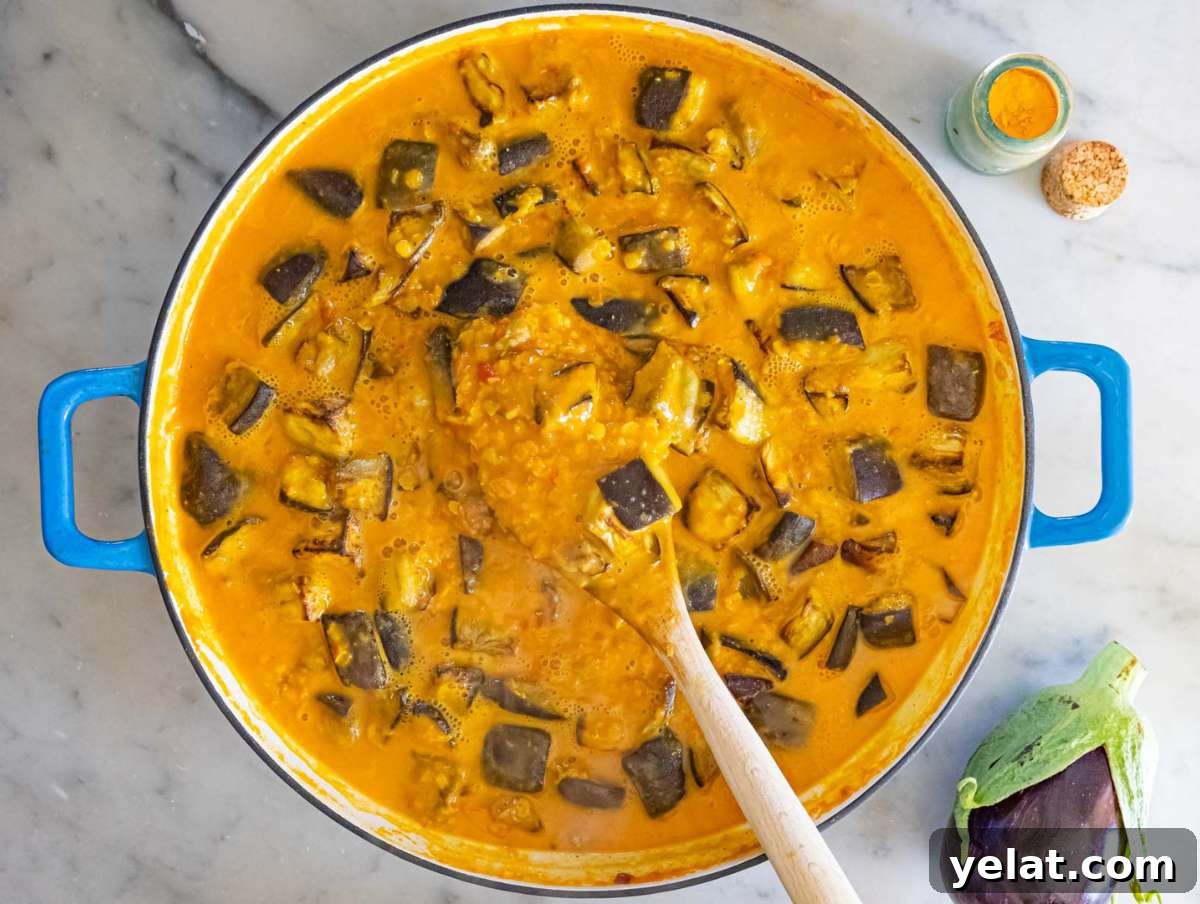 High-Protein Lentil and Eggplant Curry Recipe 8 Step 4 Roasted eggplant and coconut milk stirred into the pot to make curry creamy.