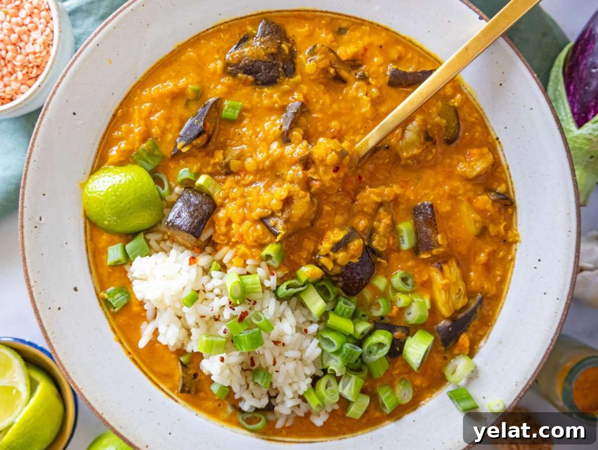 High-Protein Lentil and Eggplant Curry Recipe 9 Step 5 lentil eggplant curry served hot with lime wedges and rice.