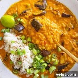 High-Protein Lentil and Eggplant Curry Recipe 10 Creamy red lentil and eggplant curry in a bowl with fresh herbs and rice on top.