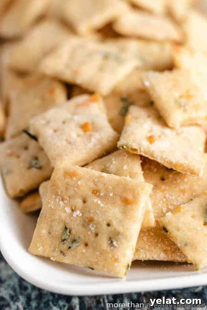 A closer view of the crackers to show the sea salt and herbs.
