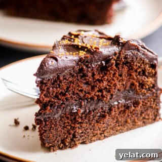 Wellesley Fudge Cake: Decadent Chocolate Caramel Layer Cake 7 Moist, buttery chocolate cake with a decadent caramel chocolate frosting!