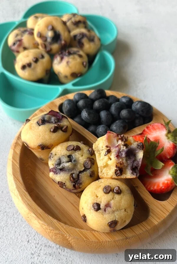 Raspberry White Chocolate Blondies Recipe — Chewy Berry Bars 10 Blueberry and chocolate chip muffins served with berries.