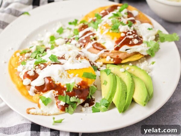Authentic Mexican Chilaquiles Recipe: Classic Red and Green Variations 13 A plate of huevos rancheros recipe topped with sliced avocado and cilantro.