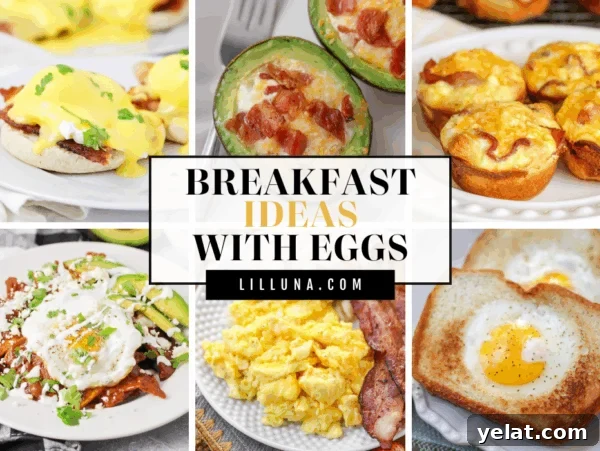 Authentic Mexican Chilaquiles Recipe: Classic Red and Green Variations 19 Collage of breakfast ideas featuring eggs.