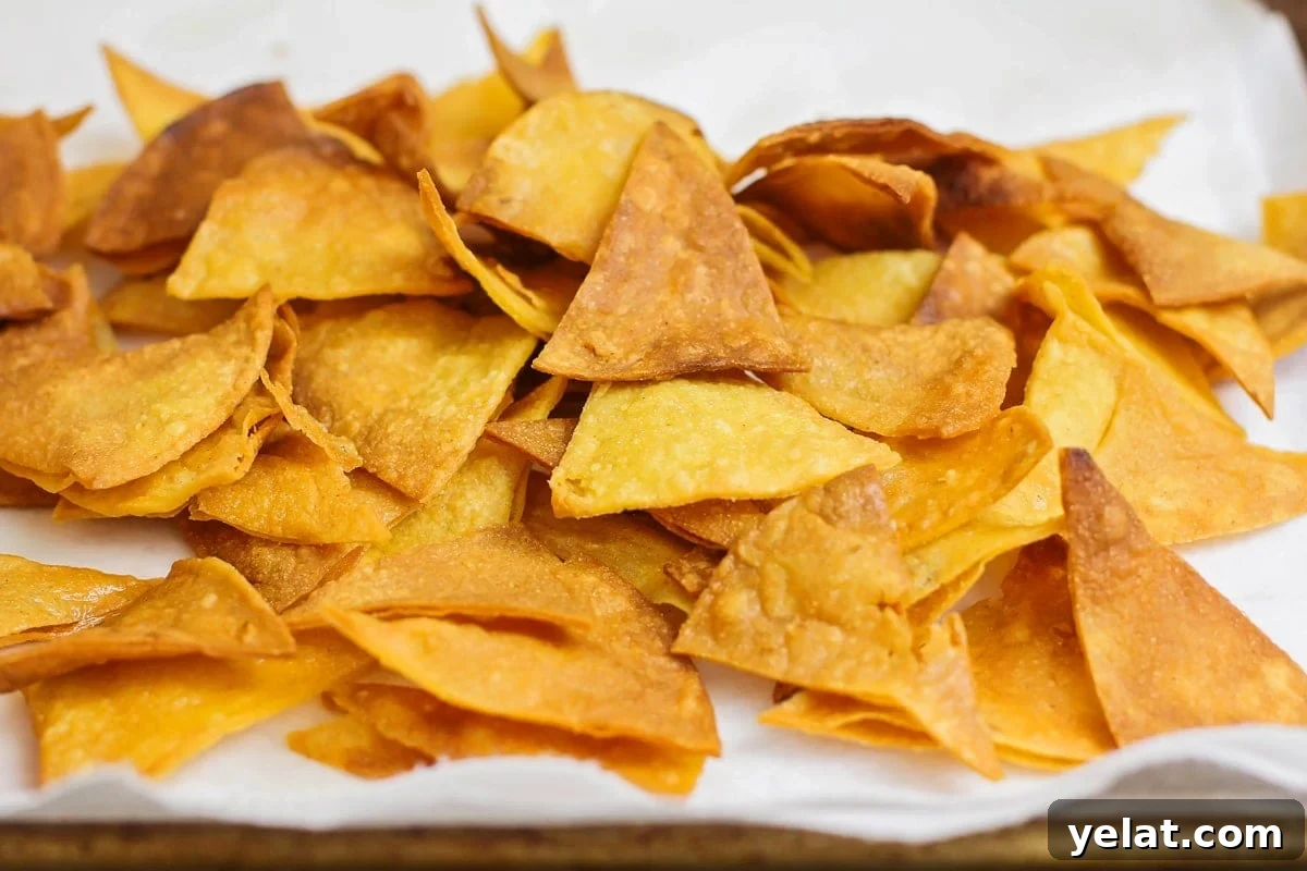 Add a little spice to your breakfast with this authentic chilaquiles recipe - a Mexican classic that's on the table in only 20 minutes! A pile of fried tortilla chips for making chilaquiles recipes.
