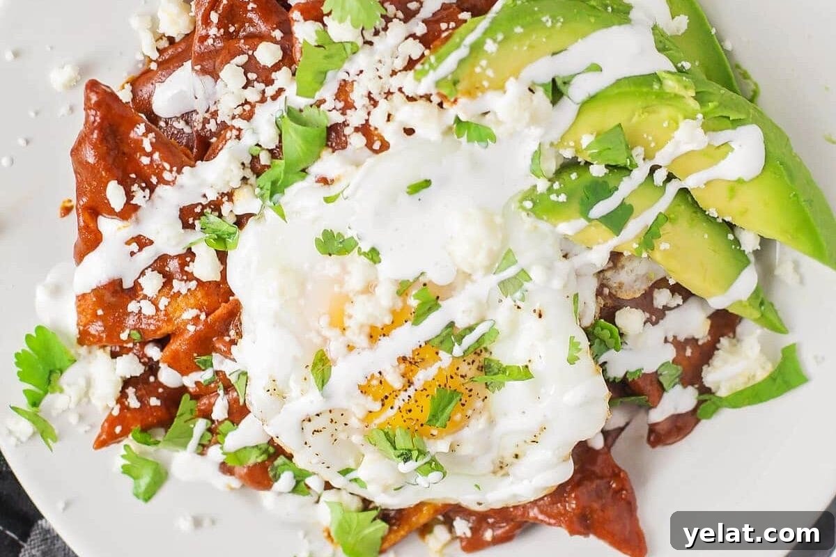 Add a little spice to your breakfast with this authentic chilaquiles recipe - a Mexican classic that's on the table in only 20 minutes! A plate of chilaquiles recipe topped with a fried egg, avocado, and cotija.