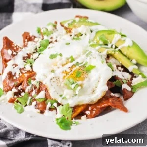 Authentic Mexican Chilaquiles Recipe: Classic Red and Green Variations 3 A plate of chilaquiles recipe topped with a fried egg, avocado, and fresh cilantro.
