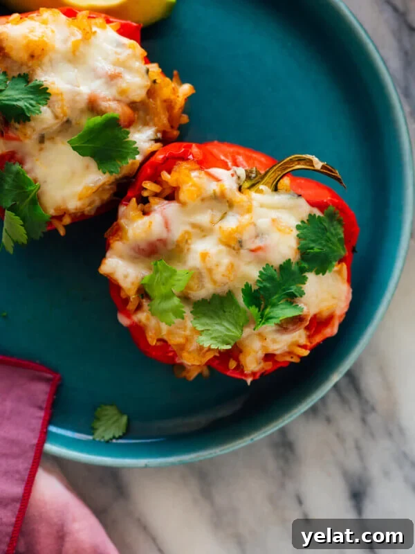 45 Portable Lunch Recipes for Meal Prep and On-the-Go Meals 14 vegetarian stuffed peppers recipe