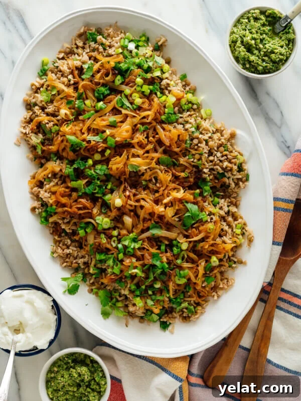45 Portable Lunch Recipes for Meal Prep and On-the-Go Meals 17 best mujaddara recipe