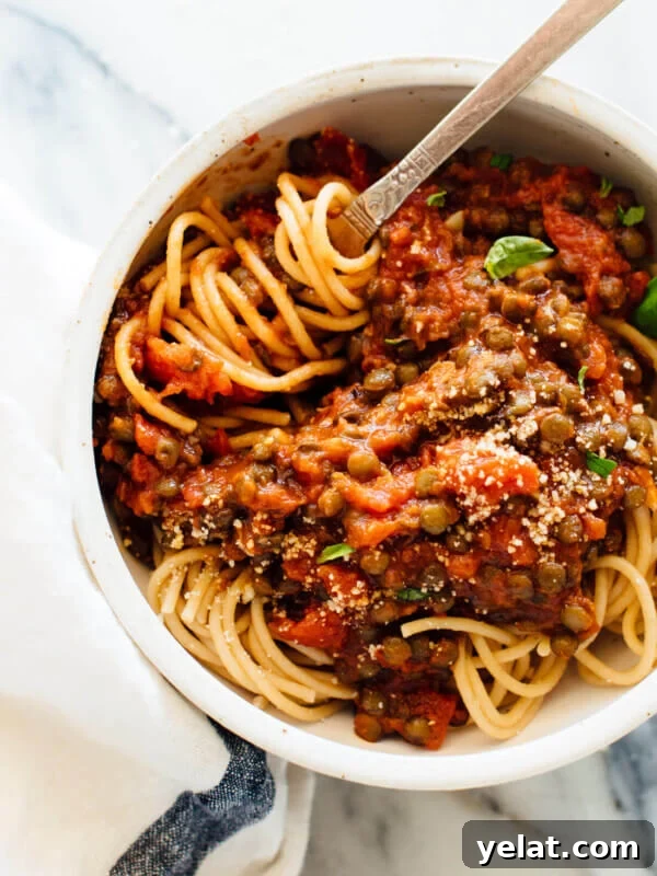 45 Portable Lunch Recipes for Meal Prep and On-the-Go Meals 22 lentils with marinara sauce and pasta