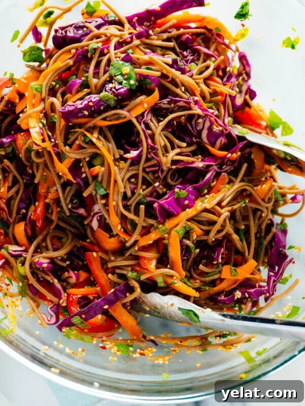 45 Portable Lunch Recipes for Meal Prep and On-the-Go Meals 23 sesame noodles salad recipe