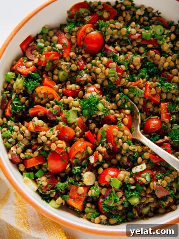 45 Portable Lunch Recipes for Meal Prep and On-the-Go Meals 25 classic lentil salad