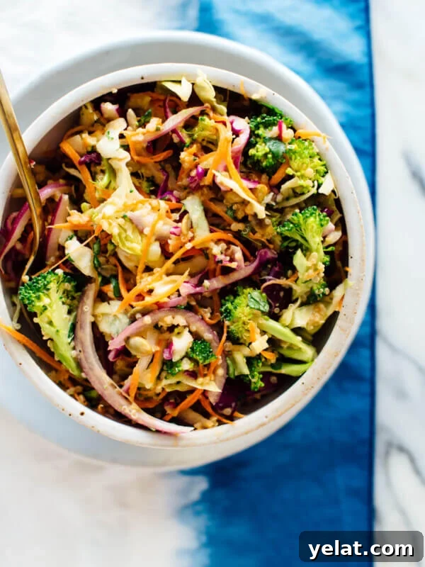 45 Portable Lunch Recipes for Meal Prep and On-the-Go Meals 35 rainbow quinoa slaw