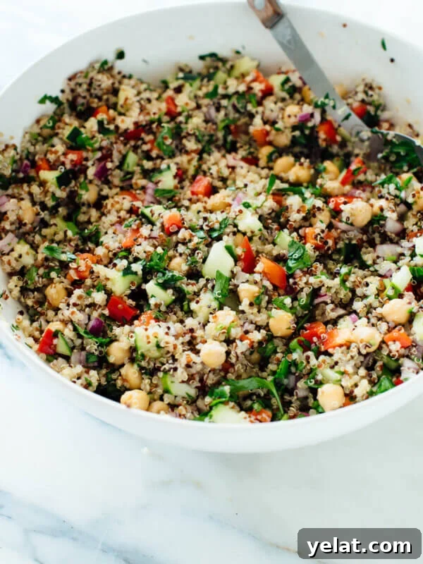 45 Portable Lunch Recipes for Meal Prep and On-the-Go Meals 36 The best quinoa salad recipe