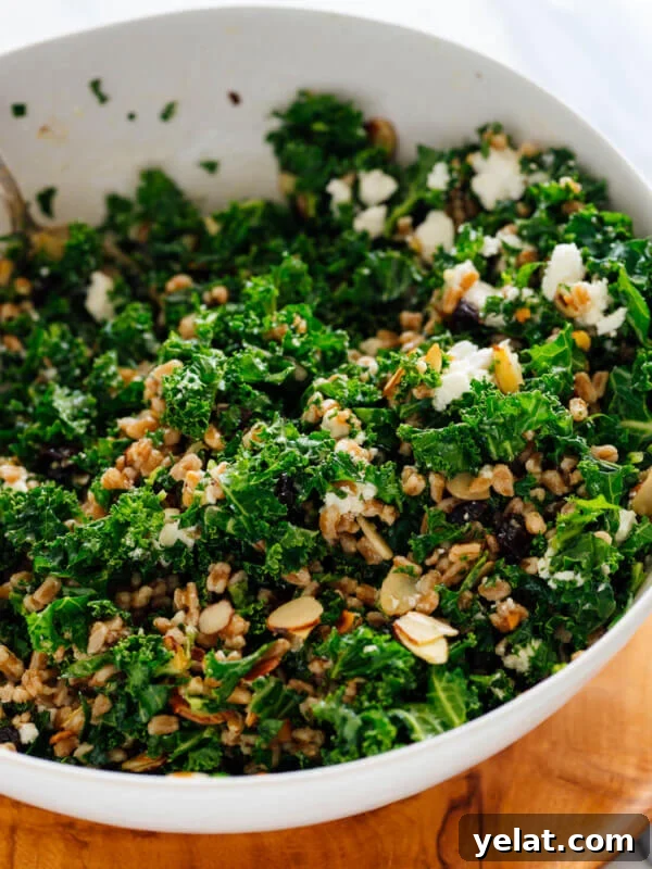 45 Portable Lunch Recipes for Meal Prep and On-the-Go Meals 37 farro and kale salad