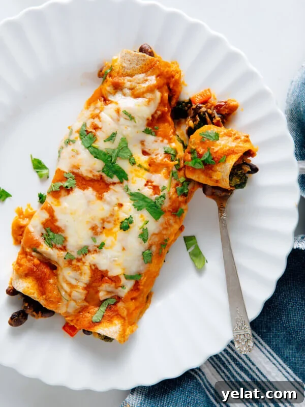 45 Portable Lunch Recipes for Meal Prep and On-the-Go Meals 5 vegetarian enchiladas recipe