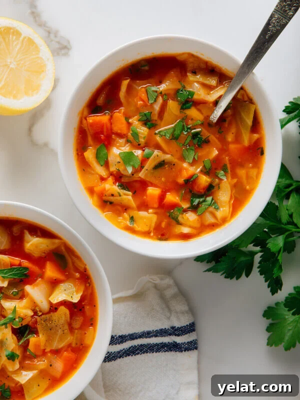 45 Portable Lunch Recipes for Meal Prep and On-the-Go Meals 42 cabbage soup recipe