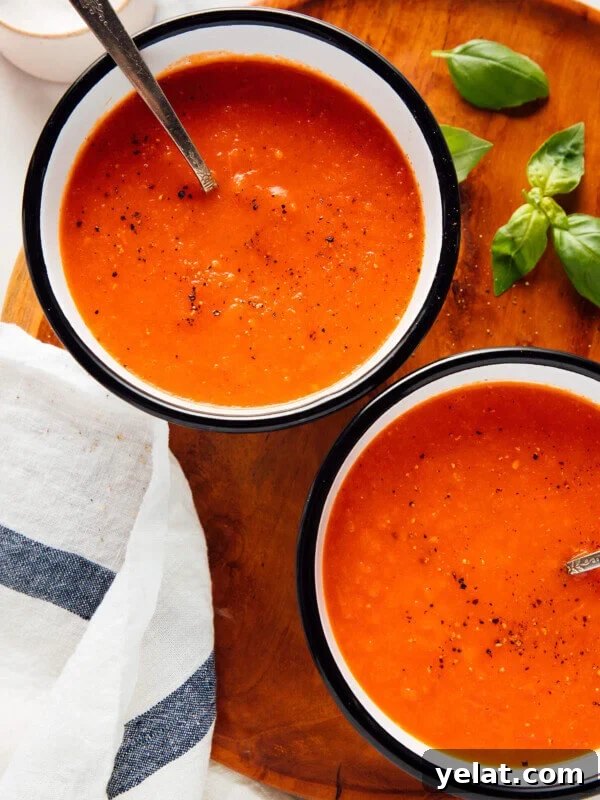 45 Portable Lunch Recipes for Meal Prep and On-the-Go Meals 44 roasted red pepper tomato soup recipe