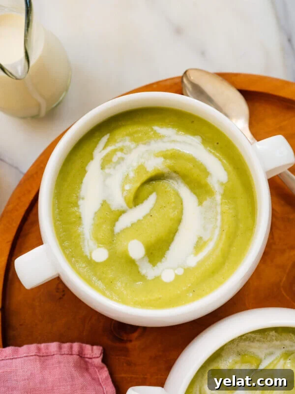 45 Portable Lunch Recipes for Meal Prep and On-the-Go Meals 45 cream of broccoli soup recipe