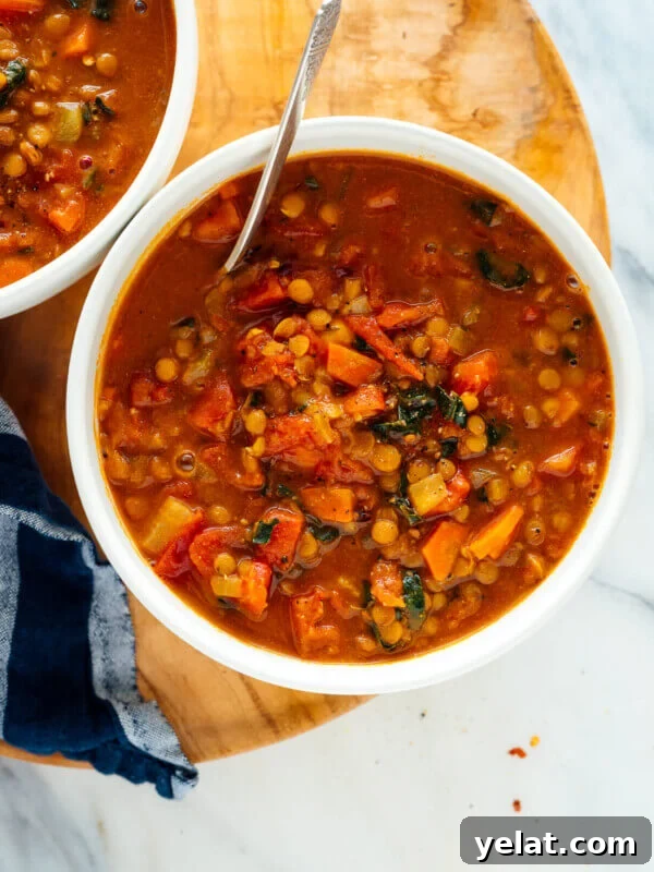 45 Portable Lunch Recipes for Meal Prep and On-the-Go Meals 49 best lentil soup recipe