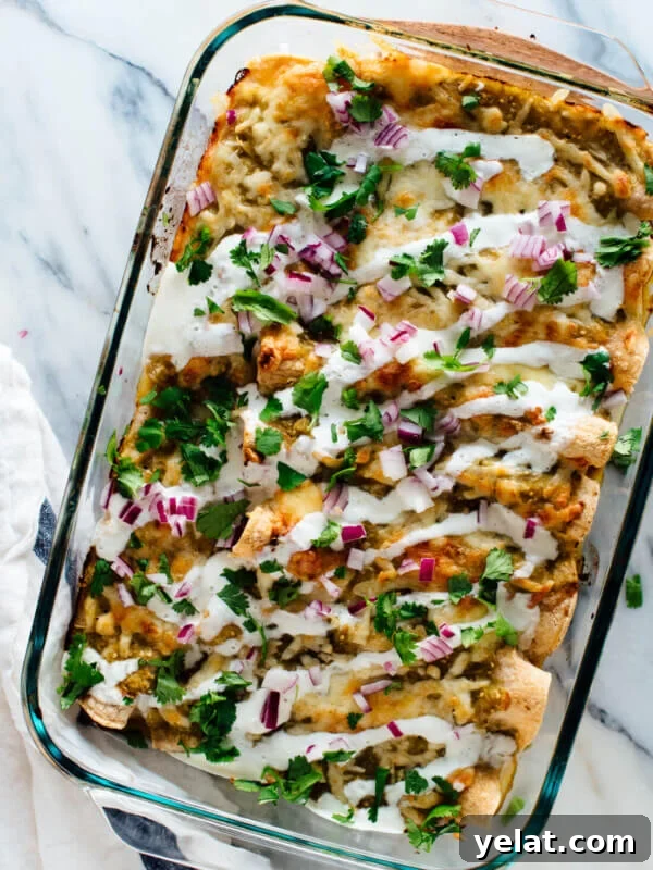 45 Portable Lunch Recipes for Meal Prep and On-the-Go Meals 10 Roasted sweet potato enchiladas