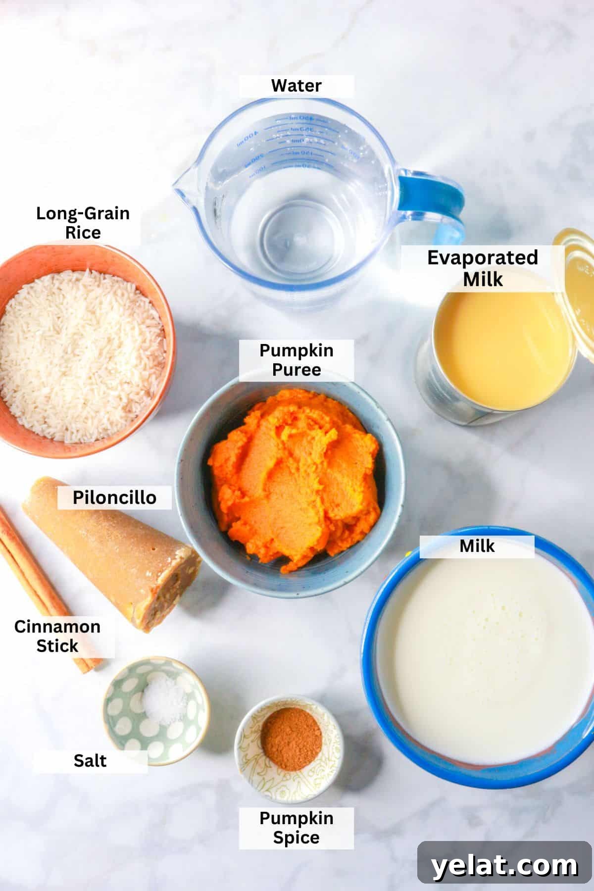 Ingredients for Mexican pumpkin rice pudding: water, rice, evaporated milk, piloncillo, milk, pumpkin puree, cinnamon stick, salt, pumpkin spice