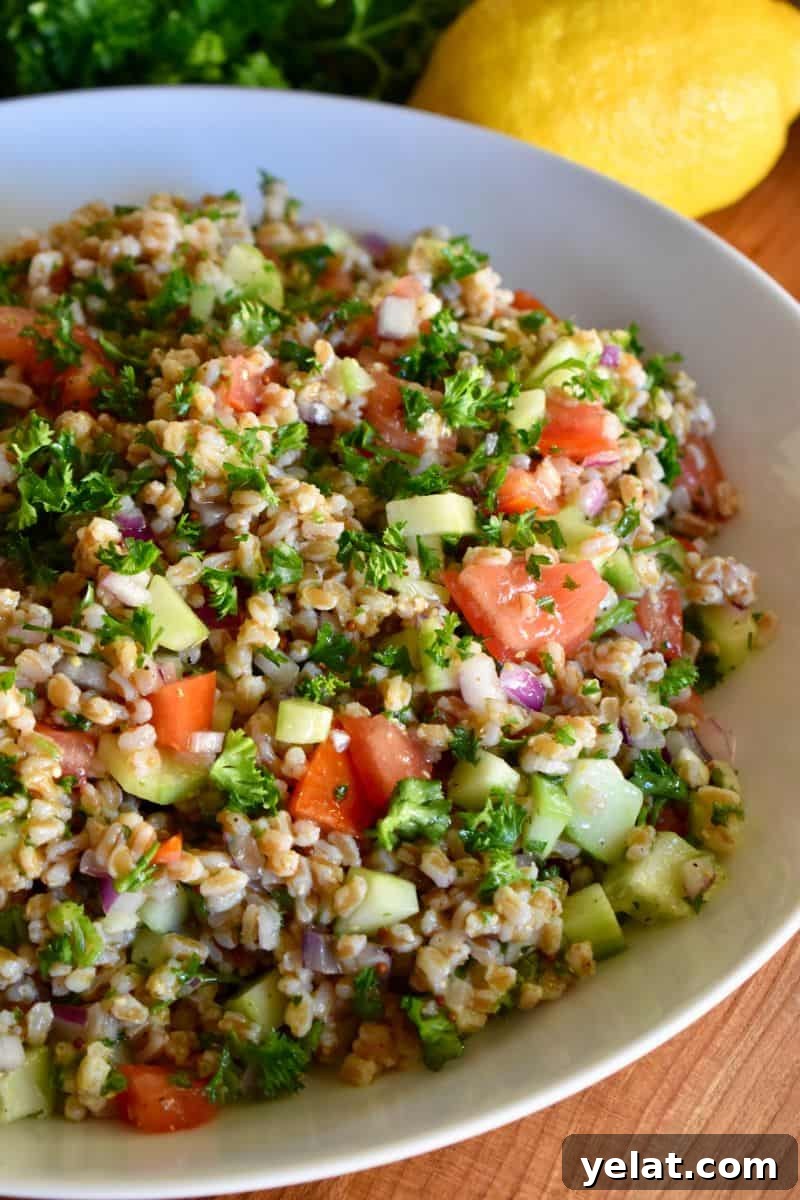 Farro Tabbouleh SAlad in a white bowl. 