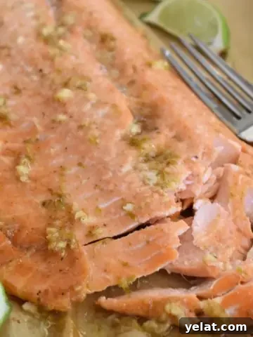 Honey Lime Salmon