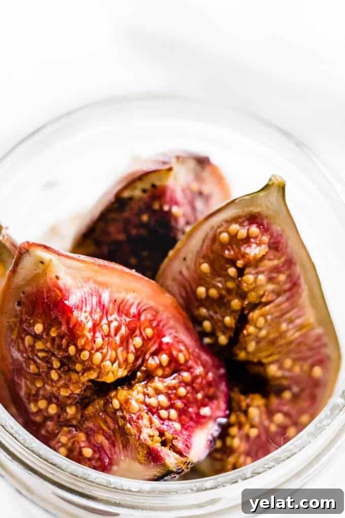 These fig & honey overnight oat pots are the perfect get up and go breakfast. They're creamy and sweet with a hint of salt and earthy sweet fig notes. High in calcium and protein they make the perfect breakfast. These fig & honey overnight oat pots are the perfect get up and go breakfast. They're creamy and sweet with a hint of salt and earthy sweet fig notes. High in calcium and protein they make the perfect breakfast.