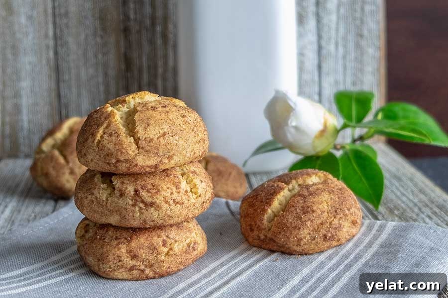 20 Top Gluten-Free Cookie Recipes You’ll Love 3 snickerdoodles, gluten free