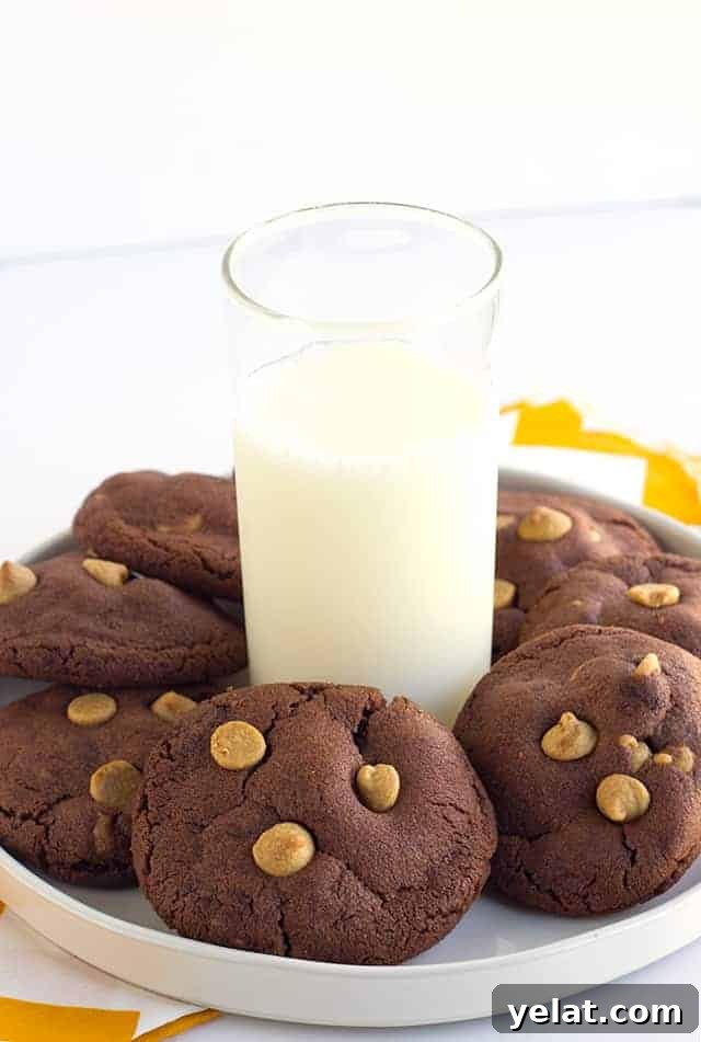 Soft Chewy Peanut Butter Chocolate Pudding Cookie Recipe 3 Peanut Butter Chocolate Pudding Cookies - peanut butter chocolate pudding cookies studded with peanut butter chips and stuffed with milk chocolate! These cookies can't get any better especially if you're a chocolate peanut butter lover!