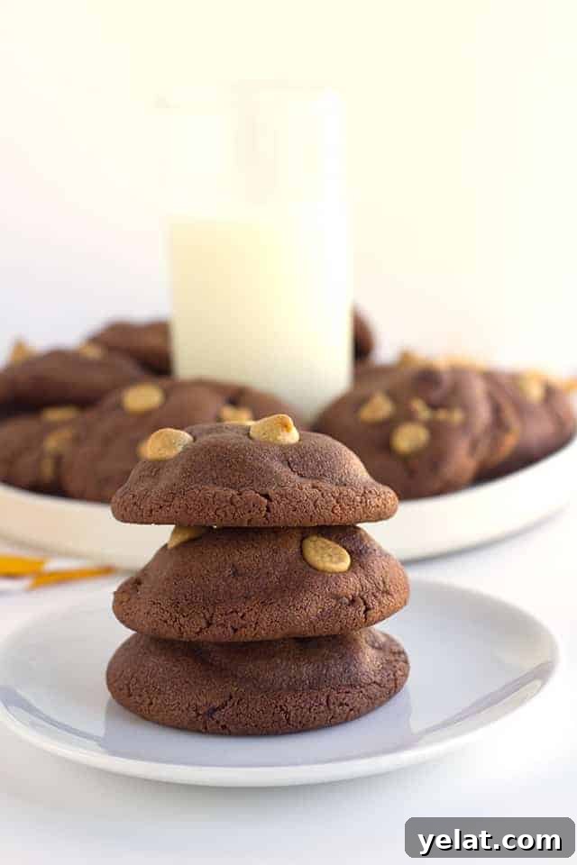 Soft Chewy Peanut Butter Chocolate Pudding Cookie Recipe 4 Peanut Butter Chocolate Pudding Cookies - peanut butter chocolate pudding cookies studded with peanut butter chips and stuffed with milk chocolate! These cookies can't get any better especially if you're a chocolate peanut butter lover!