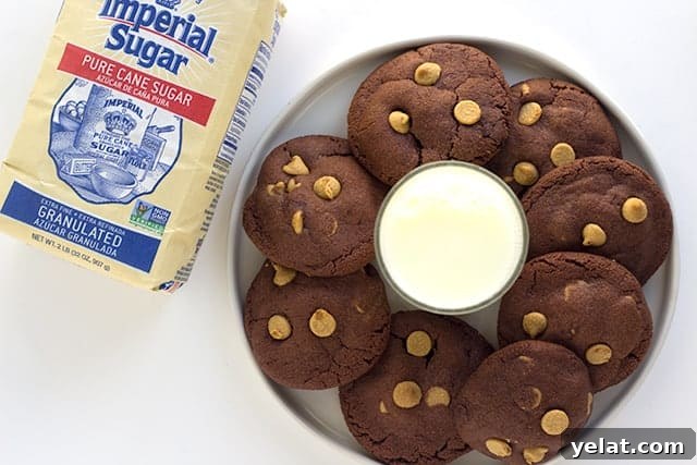 Soft Chewy Peanut Butter Chocolate Pudding Cookie Recipe 5 Peanut Butter Chocolate Pudding Cookies - peanut butter chocolate pudding cookies studded with peanut butter chips and stuffed with milk chocolate! These cookies can't get any better especially if you're a chocolate peanut butter lover!