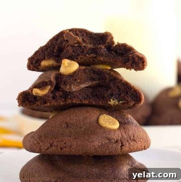 A stack of peanut butter chocolate cookies on a plate.