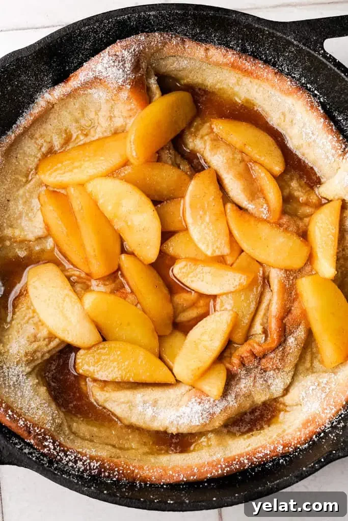 Classic Apple Dutch Baby Pancake Recipe — Fluffy Skillet Treat 11 apple dutch baby in a cast iron skillet