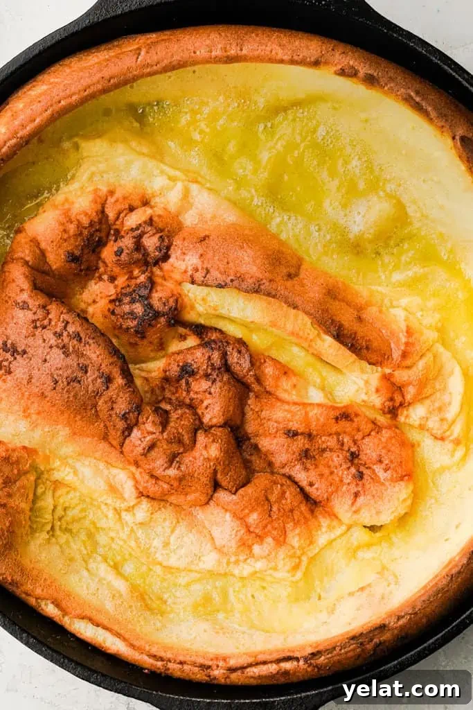 Classic Apple Dutch Baby Pancake Recipe — Fluffy Skillet Treat 9 dutch baby in a cast iron skillet
