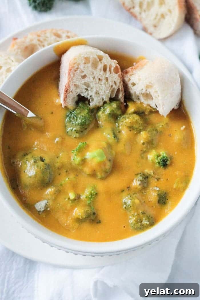Comforting Vegan Soup Recipes to Warm Your Weeknight Meals 10 Vegan broccoli cheese soup.