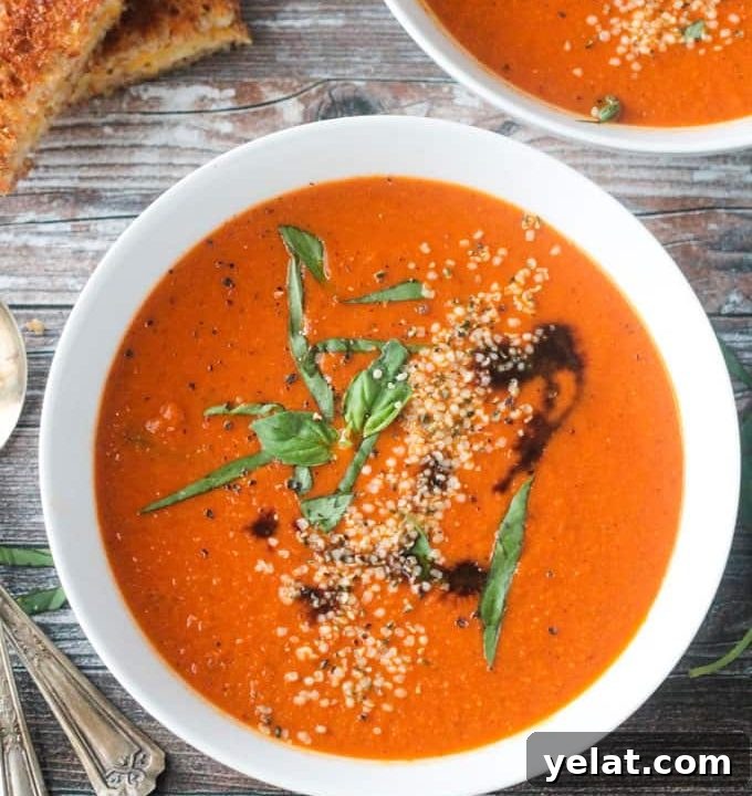 Comforting Vegan Soup Recipes to Warm Your Weeknight Meals 11 Bowl of vegan tomato soup topped with basil.