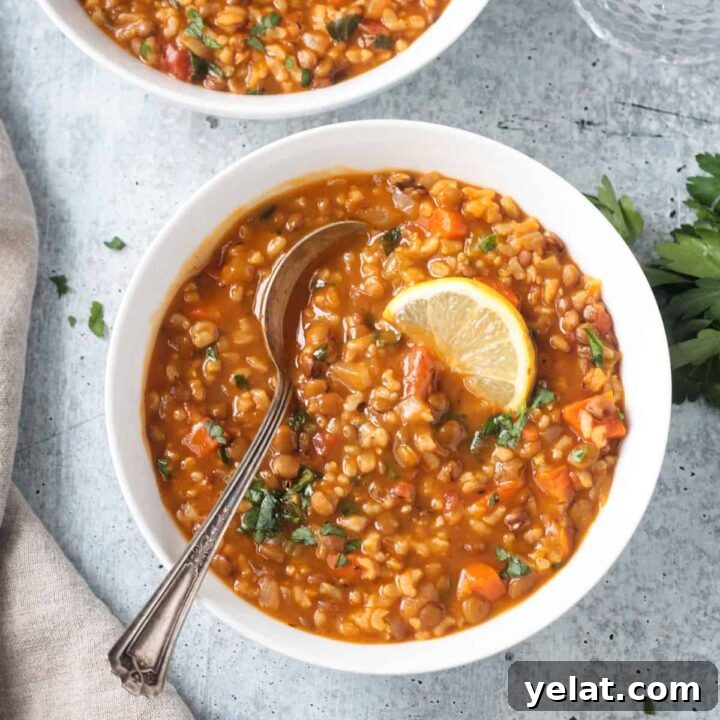 Comforting Vegan Soup Recipes to Warm Your Weeknight Meals 2 Metal spoon in a bowl of lentil rice soup.