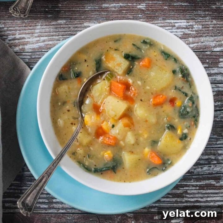Comforting Vegan Soup Recipes to Warm Your Weeknight Meals 5 Metal spoon in a bowl of vegan potato soup.
