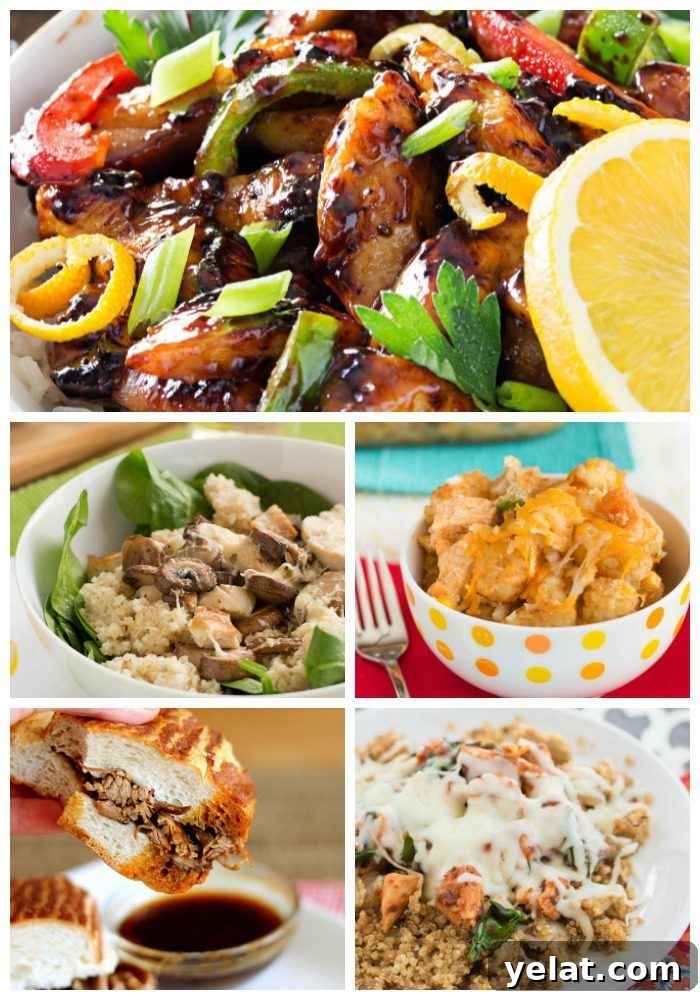 Weekly Dinner Menu 169: Creative Meals from Kitchen Scraps 2 What's for dinner this week? How about Cajun Honey Chicken, Chicken Tater Tot Casserole, Slow Cooker French Dips, and lots more!