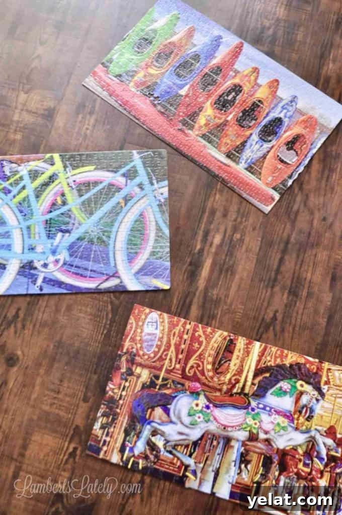 How to Glue and Hang a Puzzle Without a Frame 12 glued puzzles lying on a floor.