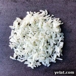 How to Dehydrate White or Brown Rice for Long-Term Storage 5 dehydrated white rice