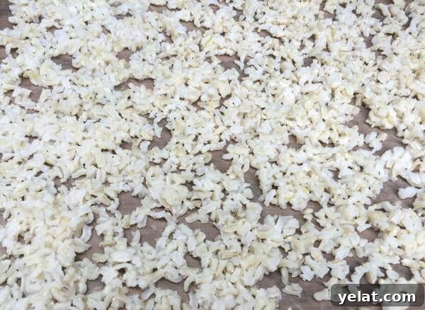 How to Dehydrate White or Brown Rice for Long-Term Storage 6 cooked rice on tray